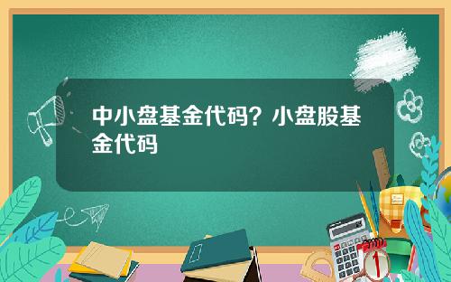 中小盘基金代码？小盘股基金代码