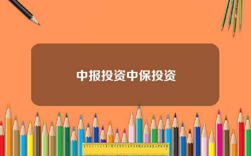 中报投资中保投资