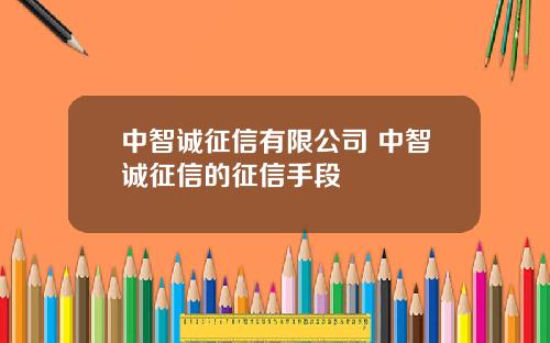 中智诚征信有限公司 中智诚征信的征信手段