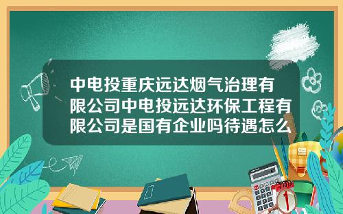 中电投重庆远达烟气治理有限公司中电投远达环保工程有限公司是国有企业吗待遇怎么样
