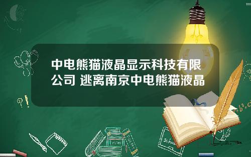 中电熊猫液晶显示科技有限公司 逃离南京中电熊猫液晶