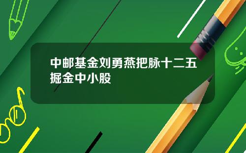 中邮基金刘勇燕把脉十二五掘金中小股