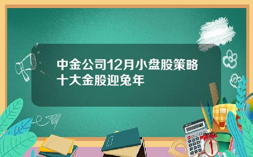 中金公司12月小盘股策略十大金股迎兔年