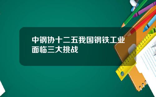 中钢协十二五我国钢铁工业面临三大挑战