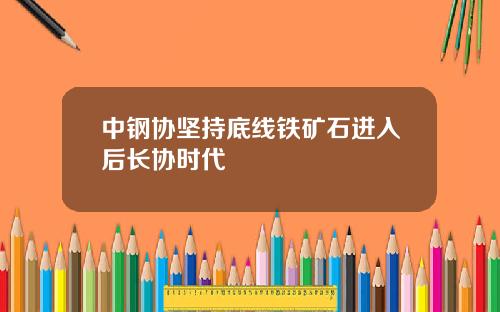 中钢协坚持底线铁矿石进入后长协时代