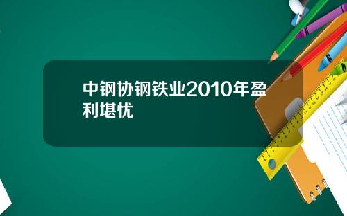 中钢协钢铁业2010年盈利堪忧