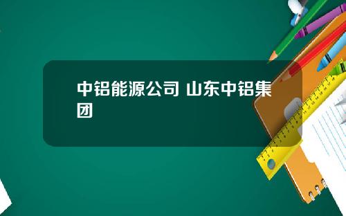 中铝能源公司 山东中铝集团