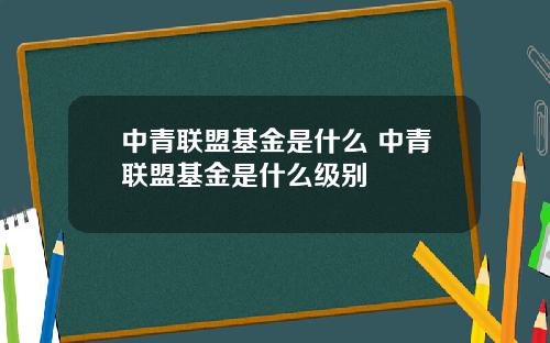 中青联盟基金是什么 中青联盟基金是什么级别