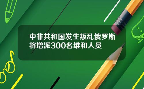 中非共和国发生叛乱俄罗斯将增派300名维和人员