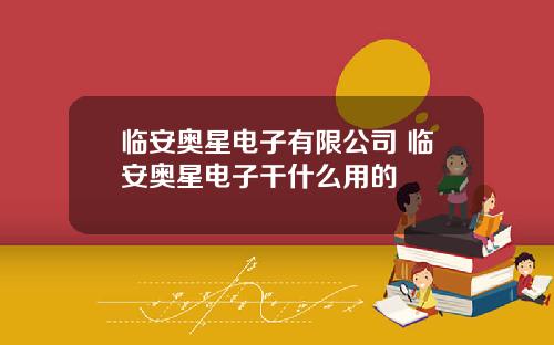 临安奥星电子有限公司 临安奥星电子干什么用的