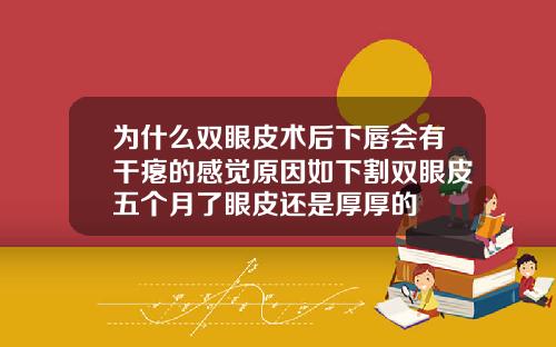 为什么双眼皮术后下唇会有干瘪的感觉原因如下割双眼皮五个月了眼皮还是厚厚的
