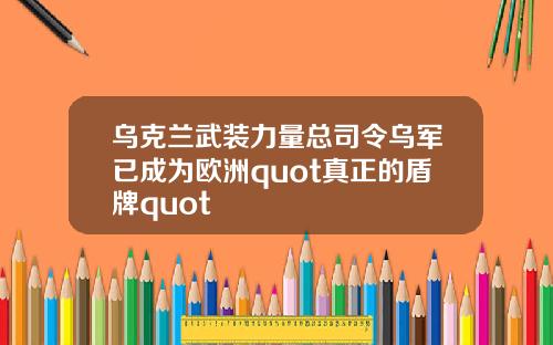 乌克兰武装力量总司令乌军已成为欧洲quot真正的盾牌quot
