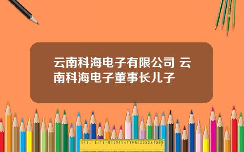 云南科海电子有限公司 云南科海电子董事长儿子