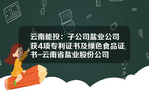 云南能投：子公司盐业公司获4项专利证书及绿色食品证书-云南省盐业股份公司