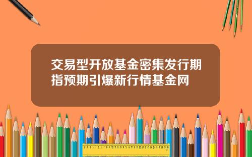 交易型开放基金密集发行期指预期引爆新行情基金网