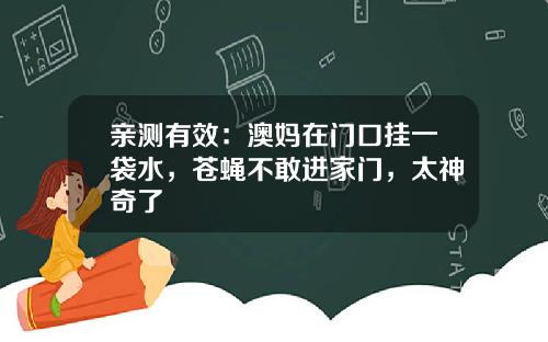亲测有效：澳妈在门口挂一袋水，苍蝇不敢进家门，太神奇了
