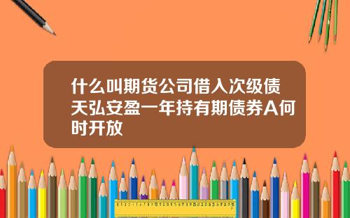 什么叫期货公司借入次级债天弘安盈一年持有期债券A何时开放