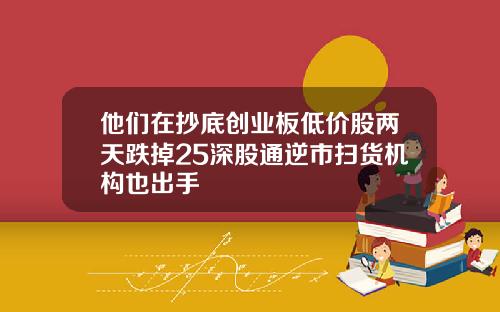 他们在抄底创业板低价股两天跌掉25深股通逆市扫货机构也出手