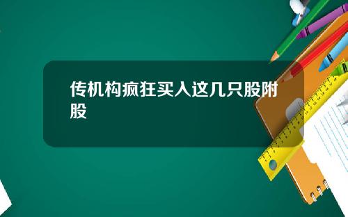 传机构疯狂买入这几只股附股