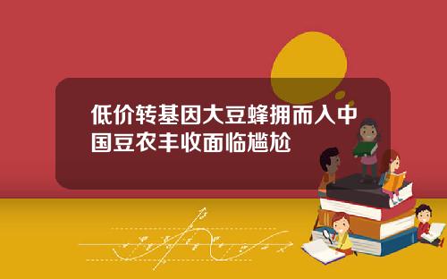 低价转基因大豆蜂拥而入中国豆农丰收面临尴尬