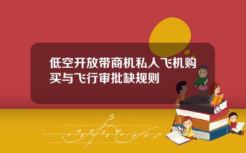 低空开放带商机私人飞机购买与飞行审批缺规则