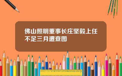 佛山照明董事长庄坚毅上任不足三月遭查图