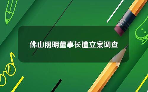 佛山照明董事长遭立案调查