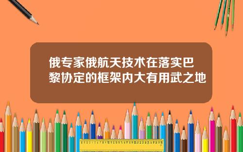 俄专家俄航天技术在落实巴黎协定的框架内大有用武之地
