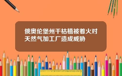 俄奥伦堡州干枯植被着火对天然气加工厂造成威胁