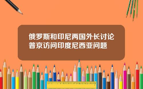 俄罗斯和印尼两国外长讨论普京访问印度尼西亚问题