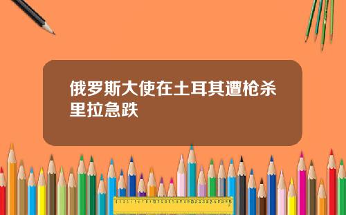 俄罗斯大使在土耳其遭枪杀里拉急跌
