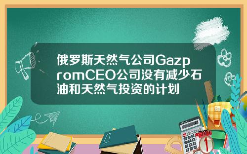 俄罗斯天然气公司GazpromCEO公司没有减少石油和天然气投资的计划