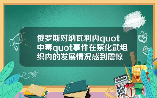 俄罗斯对纳瓦利内quot中毒quot事件在禁化武组织内的发展情况感到震惊
