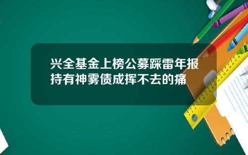 兴全基金上榜公募踩雷年报持有神雾债成挥不去的痛