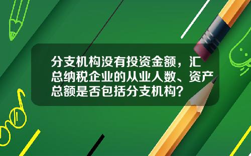 分支机构没有投资金额，汇总纳税企业的从业人数、资产总额是否包括分支机构？