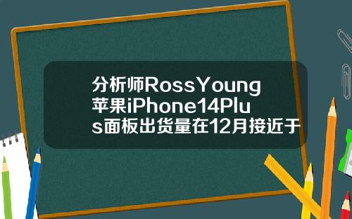 分析师RossYoung苹果iPhone14Plus面板出货量在12月接近于零