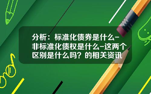 分析：标准化债券是什么-非标准化债权是什么-这两个区别是什么吗？的相关资讯