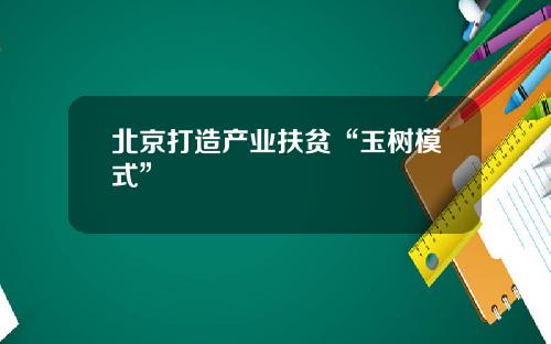 北京打造产业扶贫“玉树模式”