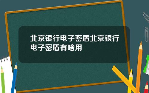 北京银行电子密盾北京银行电子密盾有啥用