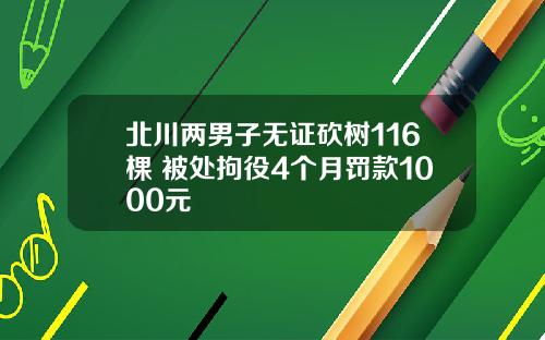 北川两男子无证砍树116棵 被处拘役4个月罚款1000元