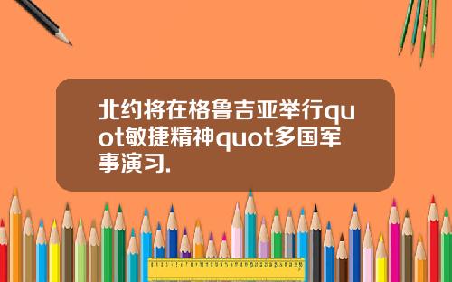 北约将在格鲁吉亚举行quot敏捷精神quot多国军事演习.