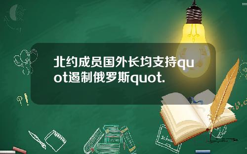 北约成员国外长均支持quot遏制俄罗斯quot.