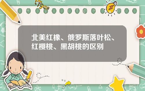 北美红橡、俄罗斯落叶松、红樱桃、黑胡桃的区别