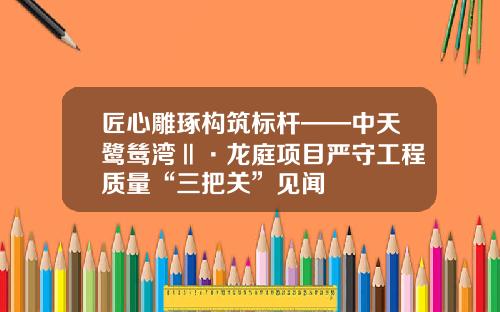 匠心雕琢构筑标杆——中天鹭鸶湾Ⅱ·龙庭项目严守工程质量“三把关”见闻