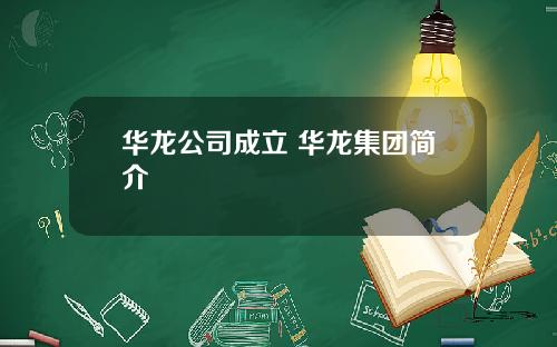 华龙公司成立 华龙集团简介