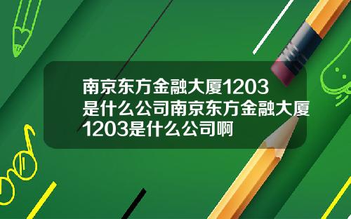 南京东方金融大厦1203是什么公司南京东方金融大厦1203是什么公司啊