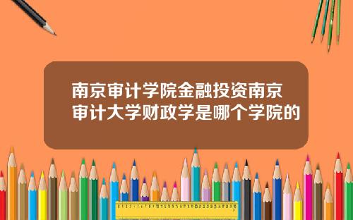 南京审计学院金融投资南京审计大学财政学是哪个学院的