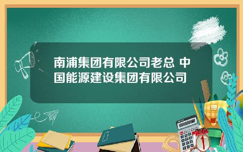 南浦集团有限公司老总 中国能源建设集团有限公司