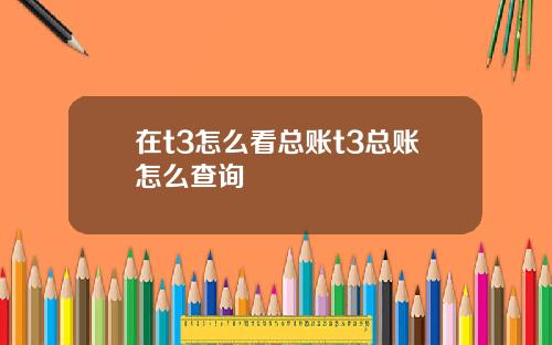 在t3怎么看总账t3总账怎么查询