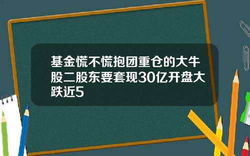 基金慌不慌抱团重仓的大牛股二股东要套现30亿开盘大跌近5